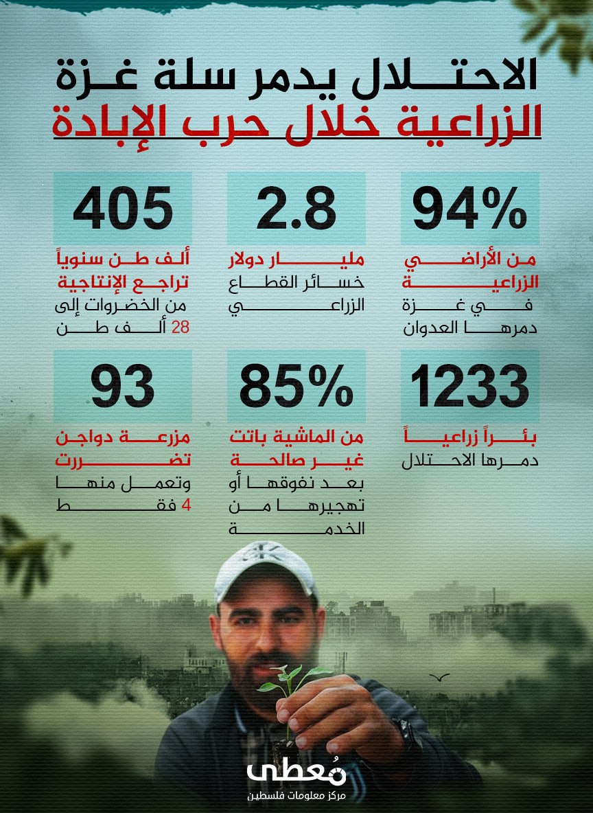 🔴 الاحتلال يدمر سلة غزة الزراعية خلال حرب الإبادة

◾ %94 من الأراضي الزراعية في غزة دمرها العدوان
◾ 2.8 مليار دولار خسائر القطاع الزراعي
◾ 405 ألف طن سنوياً تراجع الإنتاجية من