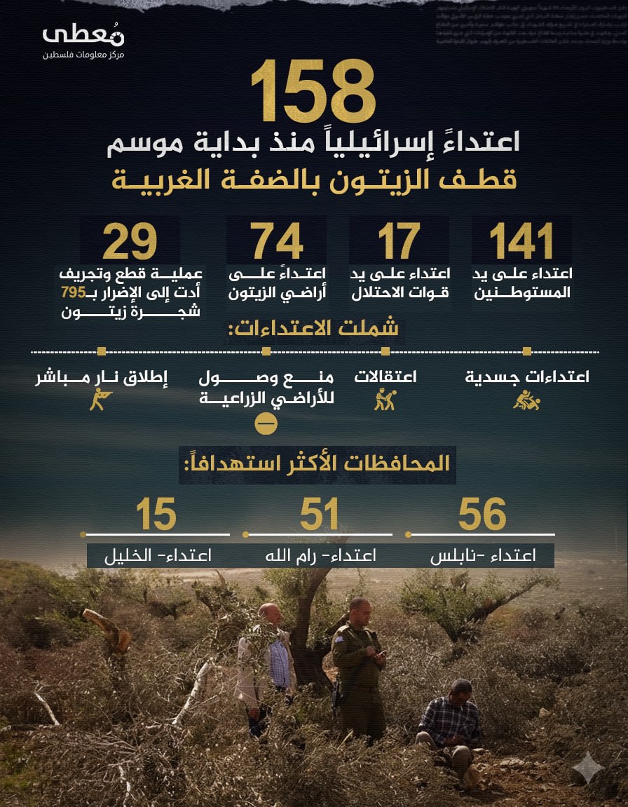 🔴 158 اعتداءً إسرائيلياً منذ بداية موسم قطف الزيتون بالضفة الغربية


◾️ 141 اعتداء على يد المستوطنين
◾️ 17 اعتداء على يد قوات الاحتلال

🔸 شملت الاعتداءات:
◾️ اعتداءات جسدية