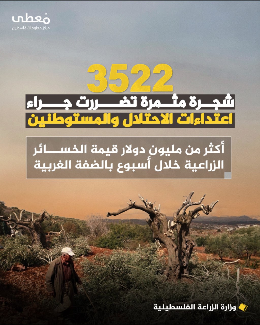 ⭕ 3522 شجرة مثمرة تضررت جراء اعتداءات الاحتلال والمستوطنين خلال أسبوع

🔸وزارة الزراعة الفلسطينية

 🔹 مركز معلومات فلسطين - مُعطى - www.mo3ta.ps