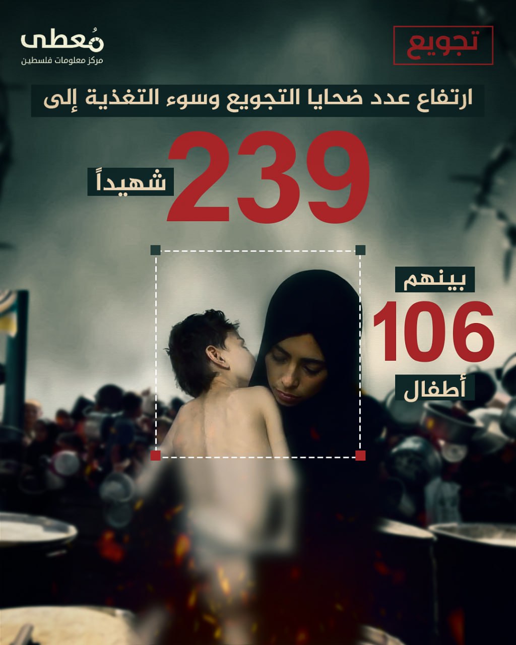🔴 ارتفاع عدد ضحايا التجويع وسوء التغذية في قطاع غزة إلى 239 شهيدا بينهم 106 أطفال

🔹 مركز معلومات فلسطين - مُعطى - www.mo3ta.ps