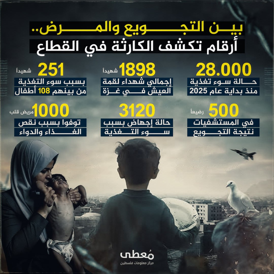 ⭕ بين التجويع والمرض.. أرقام تكشف الكارثة في القطاع

🔹 مركز معلومات فلسطين - مُعطى - www.mo3ta.ps