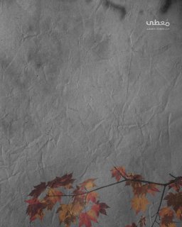 #شاهد

🔴 في يوم الطفل الفلسطيني | أرقام موجعة من غزة

🔹 مركز معلومات فلسطين -مُعطى- www.mo3ta.ps