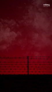 #شاهد

🔴 حصيلة شهداء التجويع في غزة

🔹 مركز معلومات فلسطين - مُعطى - www.mo3ta.ps