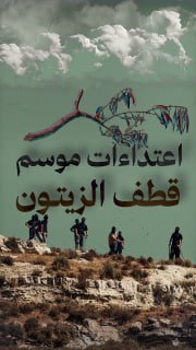 🔴 158 اعتداءً إسرائيلياً منذ بداية موسم قطف الزيتون بالضفة الغربية

🔹 مركز معلومات فلسطين -مُعطى- www.mo3ta.ps