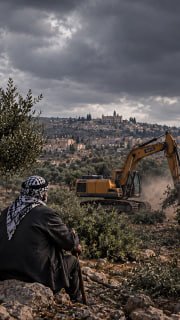 #شاهد| 

◾ 438 دونما مهددة بالاقتلاع في رام الله وجنين

🔷 مركز معلومات فلسطين -مُعطى- www.mo3ta.ps