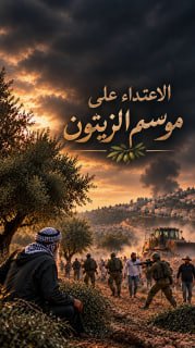 #شاهد|

◾الاعتداء على موسم الزيتون
🔴 +200 اعتداء نفذه جيش الاحتلال والمستوطنون على موسم قطاف الزيتون منذ مطلع أكتوبر

🔹 مركز معلومات فلسطين - مُعطى - www.mo3ta.ps
